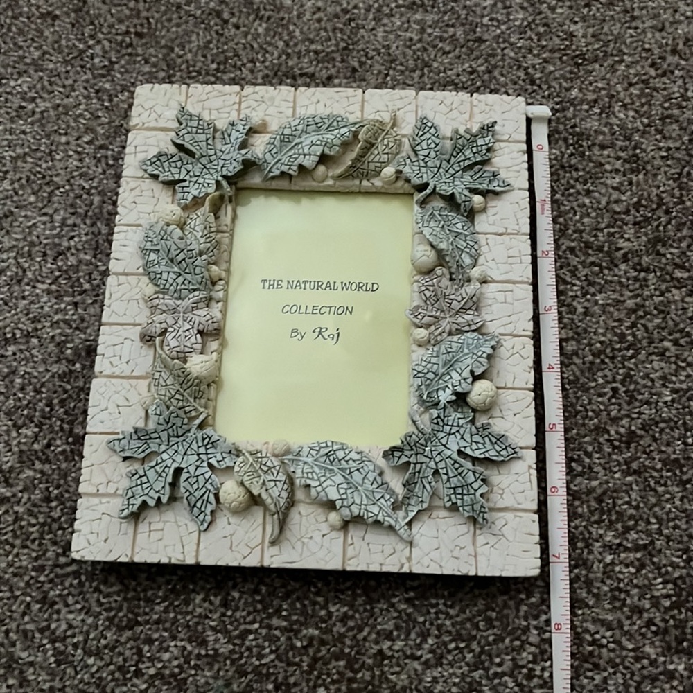 2 1/2 x 4 Raj Frame - Picture 6 of 6